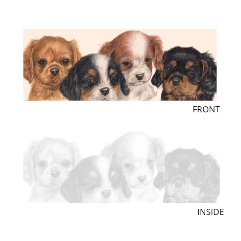 Smalle kaarten - Cavalier King Charles Spaniels