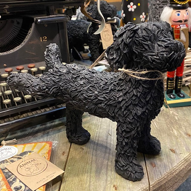 Plassende labradoodle
