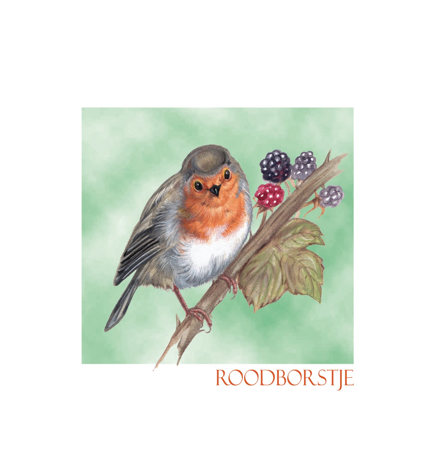 Einkaufstasche aus Baumwolle mit Aufdruck - Robin