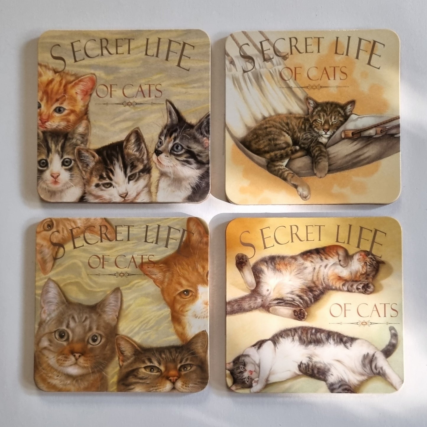 Set van 4 onderzetters - Kattenserie - Secret Life of Cats