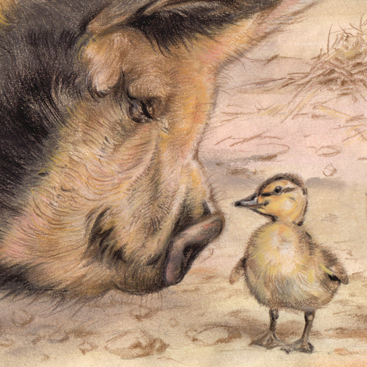 Set mit 4 Untersetzern – Serie „Bauernhof“