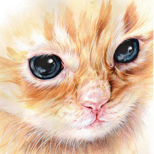 Set mit 4 Untersetzern – Katzenserie 2