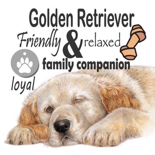 Onderzetter - 38-034 Golden Retriever