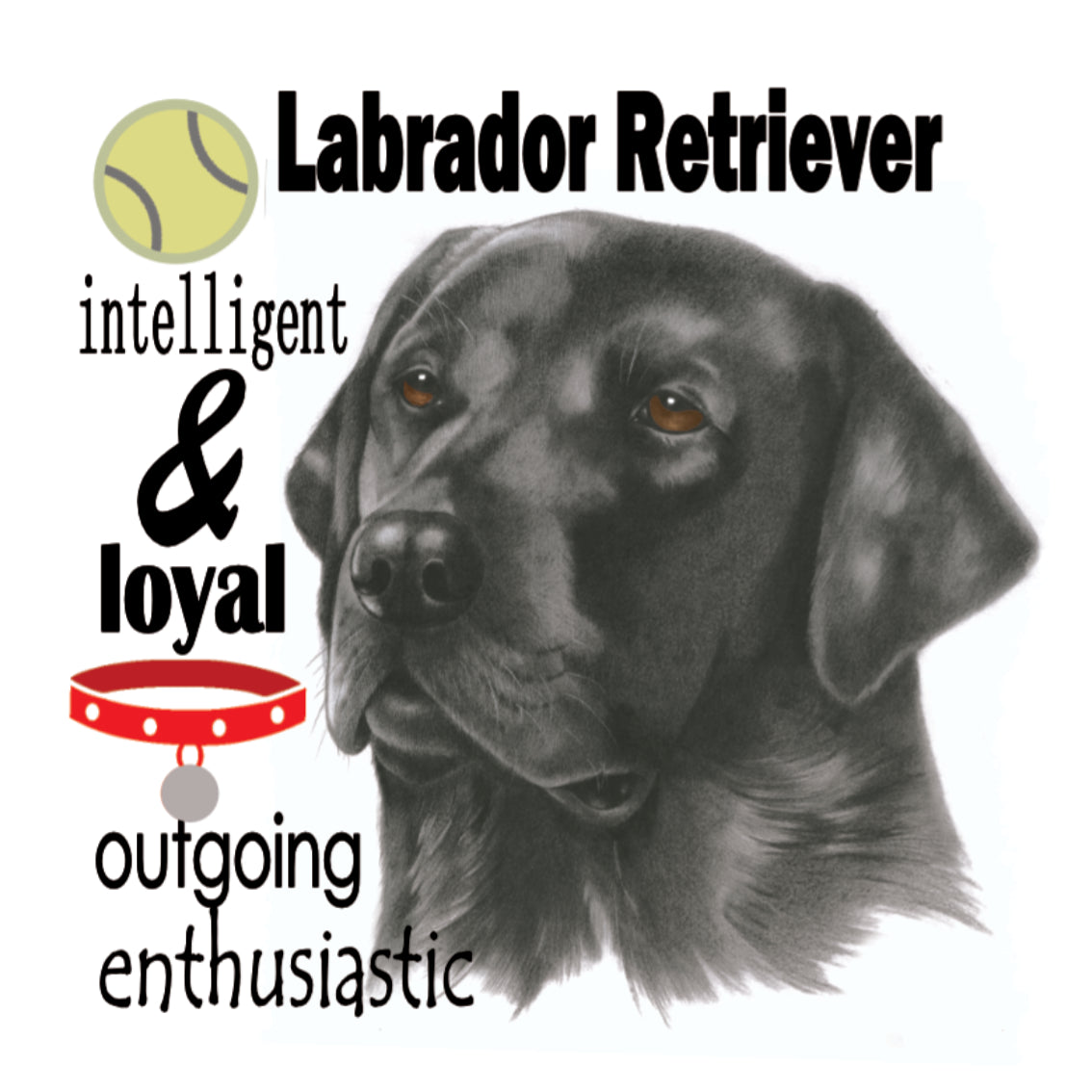 Onderzetter - 38-035 Labrador Retriever Zwart