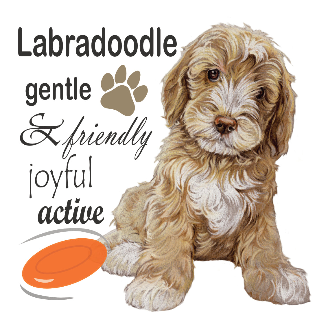 Onderzetter - 38-036 Labradoodle