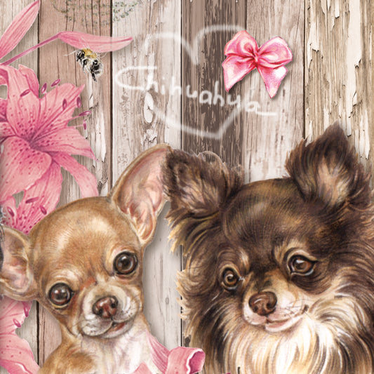 Onderzetter - 38-041 Chihuahua