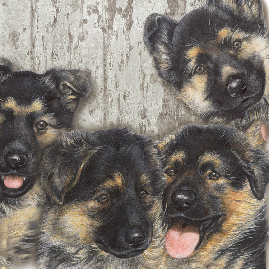 Onderzetter - 38-042 Duitse Herders