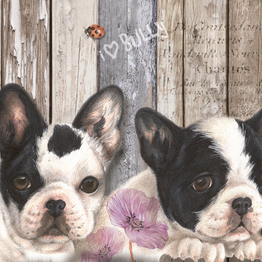 Onderzetter - 38-043 Franse Bulldogs