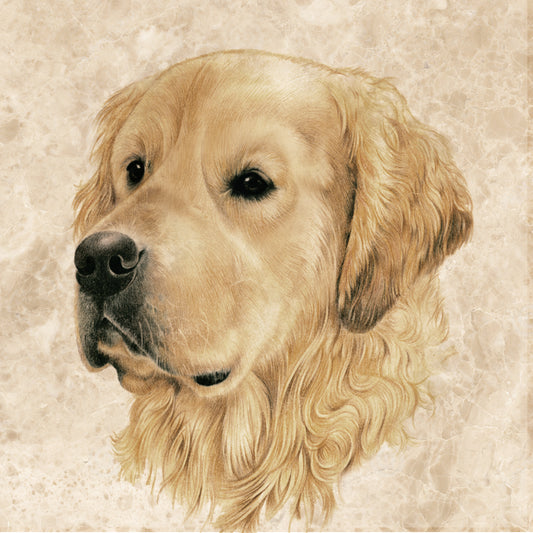 Onderzetter - 38-058 Golden Retriever