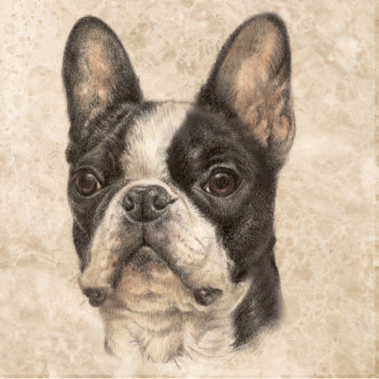 Onderzetter - 38-061 Franse Bulldog