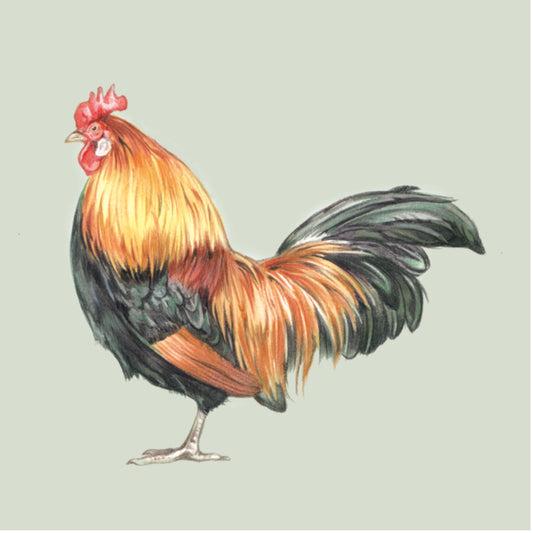 Onderzetter - 38-067 Kip Design 1