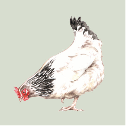 Onderzetter - 38-070 Kip Design 4