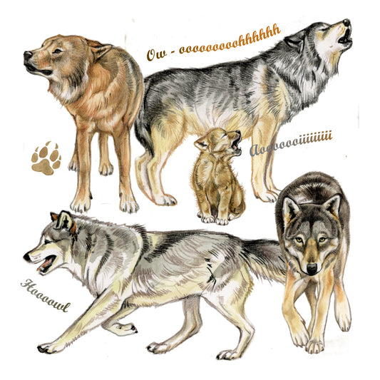 Onderzetter - 38-078 Wolven collage