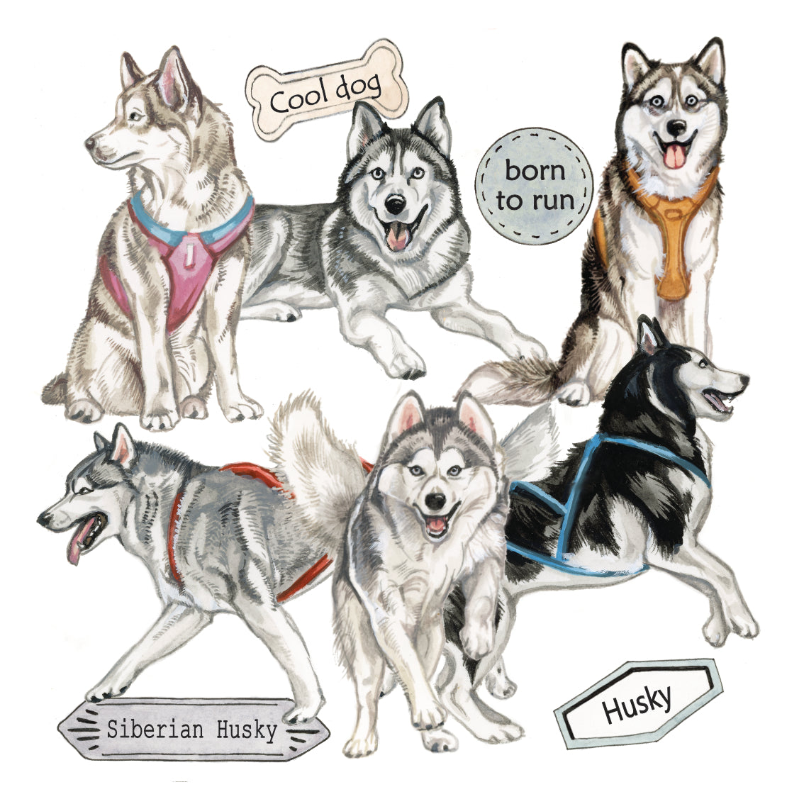 Onderzetter - 38-079 Husky/Samojeed collage