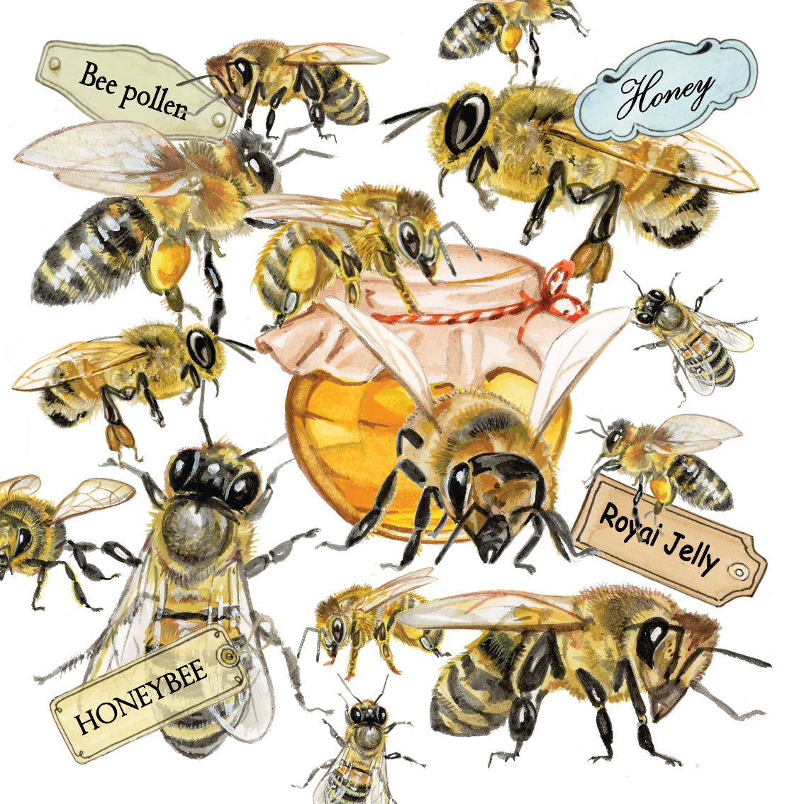 Onderzetter - 38-081 Hommels en Bijen collage