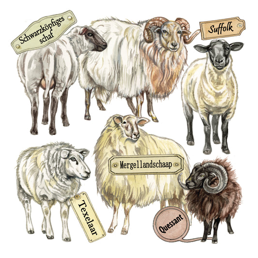 Onderzetter - 38-084 Schapen collage