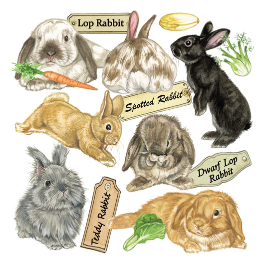 Onderzetter - 38-086 Konijnen collage