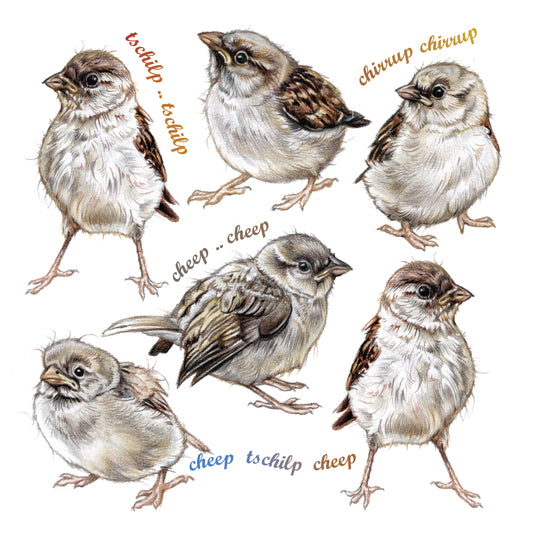 Onderzetter - 38-089 Huismus - collage