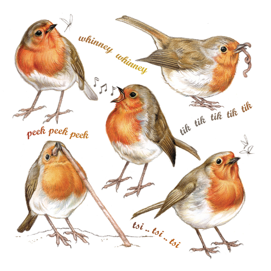 Onderzetter - 38-090 Roodborst collage