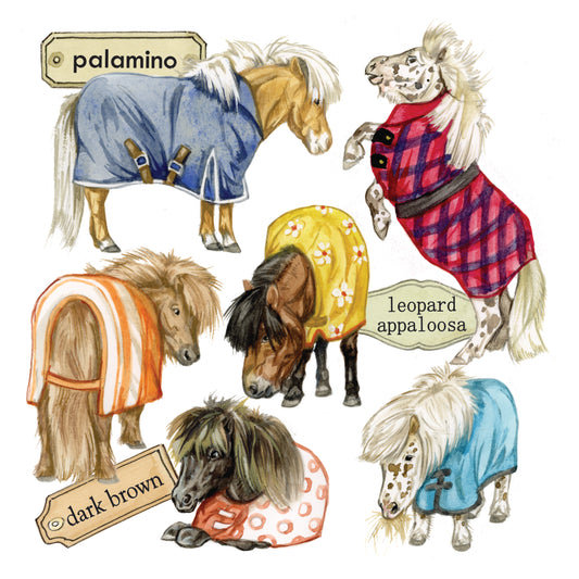 Onderzetter - 38-091 Shetlandercollage