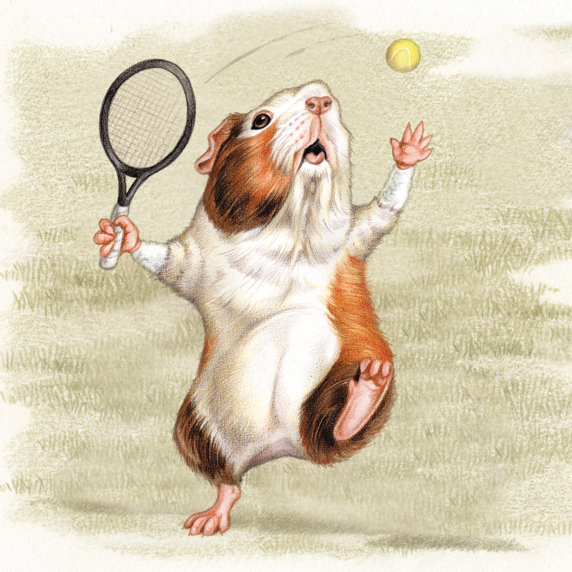 Onderzetter - 38-102 Cavia Tennis