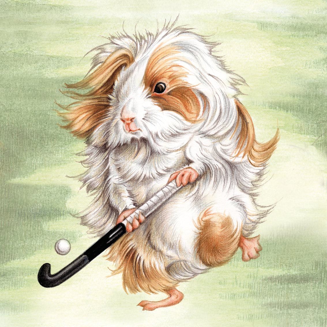 Onderzetter - 38-103 Cavia Hockey