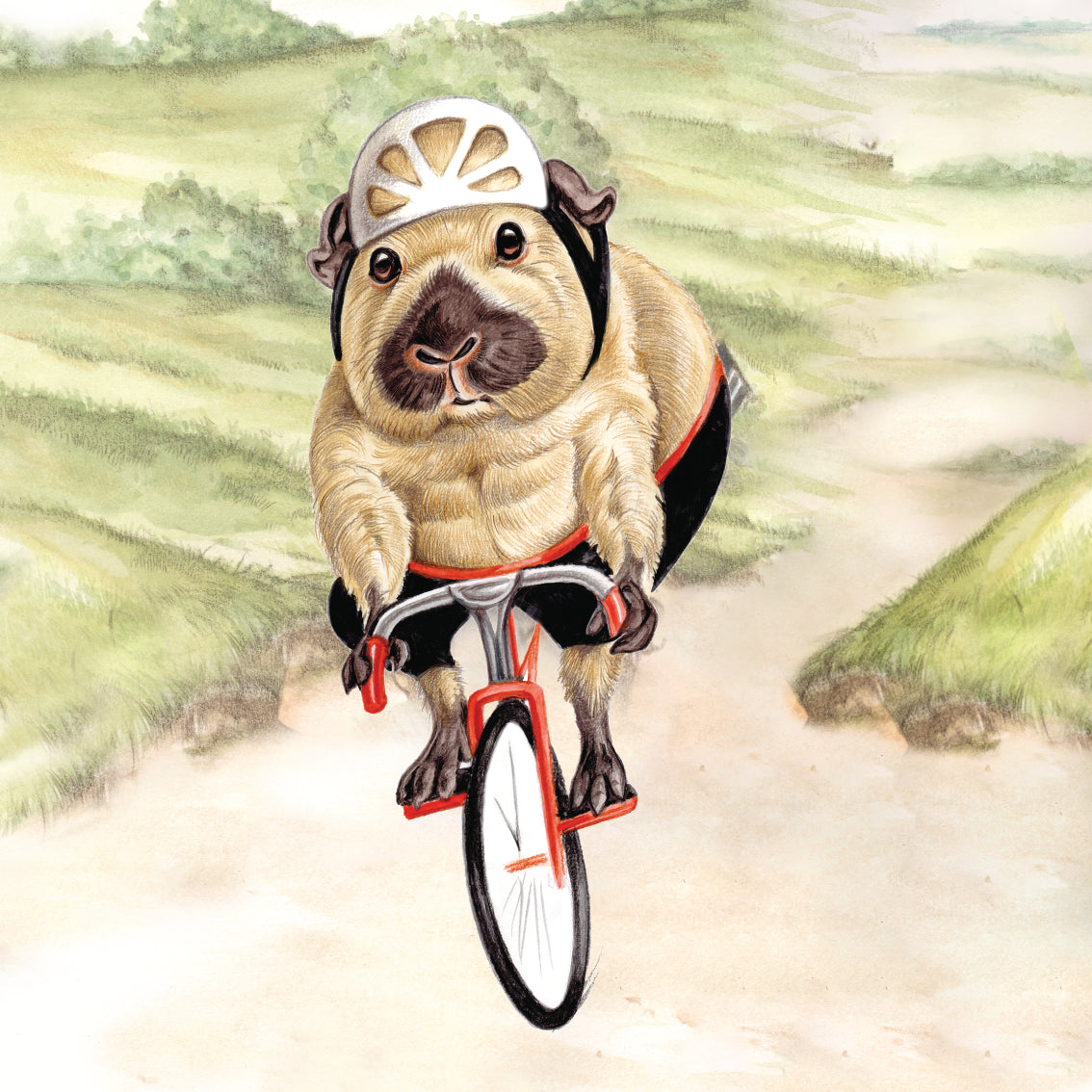 Untersetzer 38-032 - Gartenvögel 4