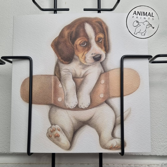 Quadratische Karte - Pflaster auf Beagle - Gute Besserung