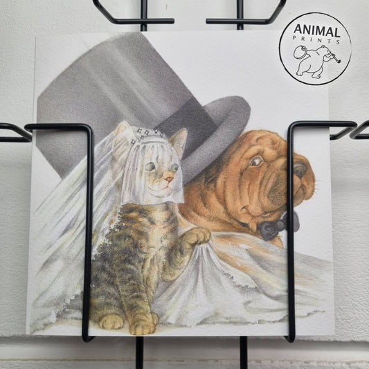 Quadratische Karte – Heirat, Cat und Sharpei gehen aufs Spiel