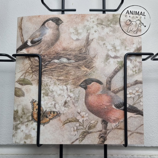 Square card - A beautiful drawing, from a bird's eye view