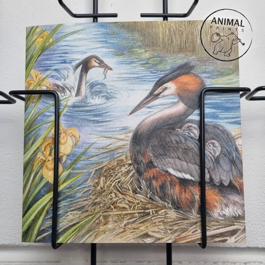 Square card - Grebe, with boy between the wings.