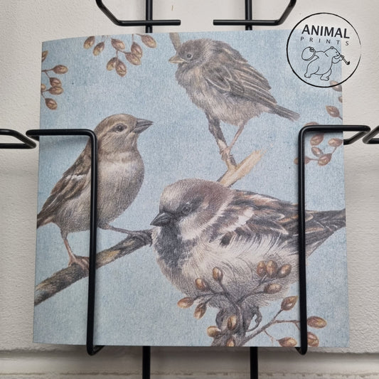 Square card - House sparrows collage