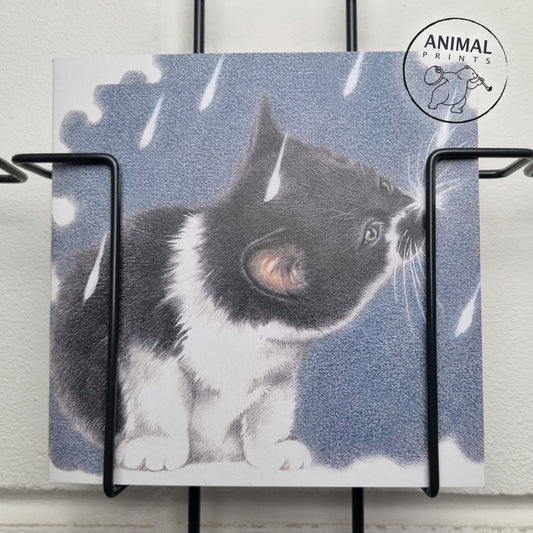 Square card - It's Raining Cat's - European Shorthair