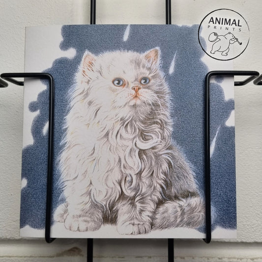 Square card - It's Raining Cat's - Persian Cat
