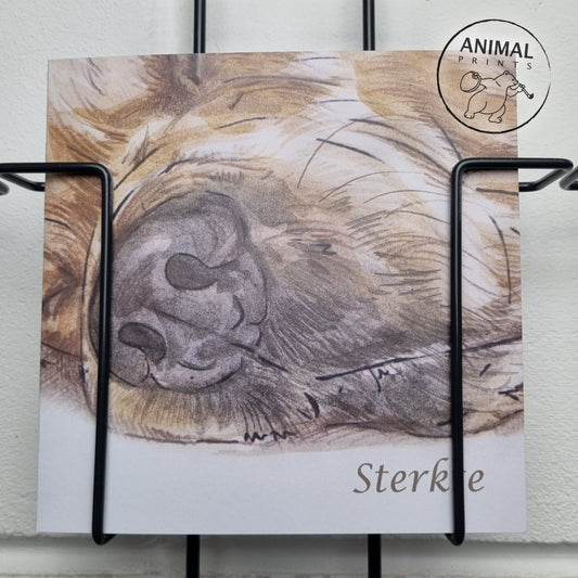 Vierkante kaart - Condoleancekaart Labrador