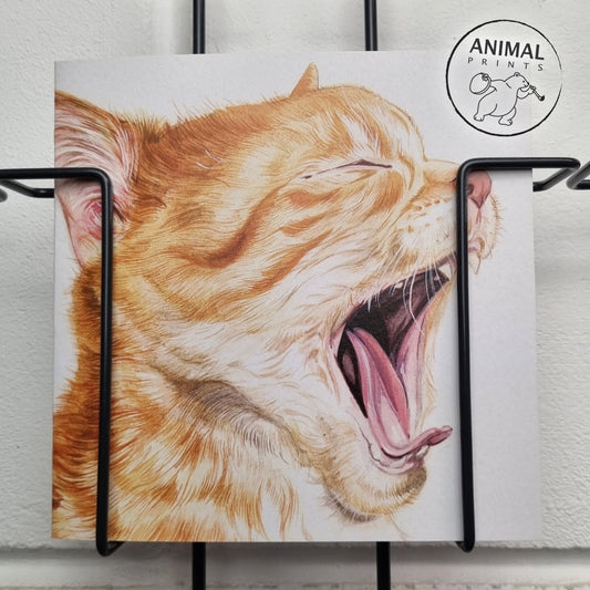 Vierkante kaart - Gapende kittens bijten niet...