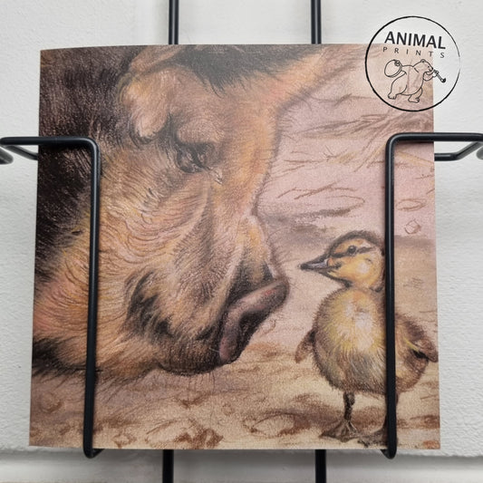 Square card - Pig & Chick
