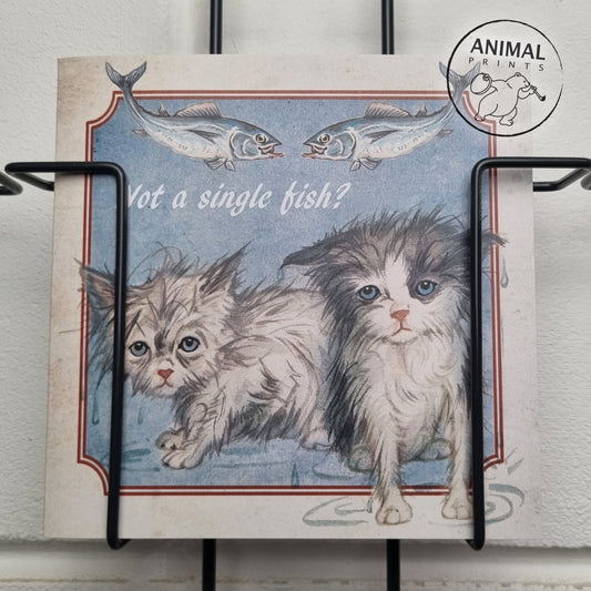 Square Card - Not a Single Fish