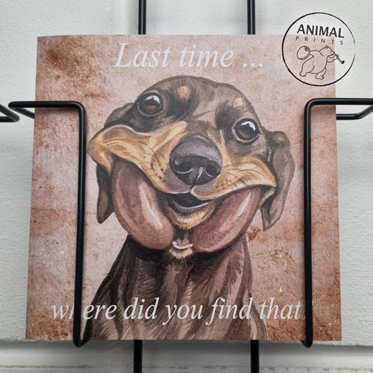 Square card - Last time...., where did you find that (Dachshund / Dachshund)