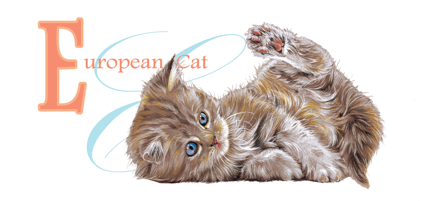 Mok Europees Korthaar - New collection