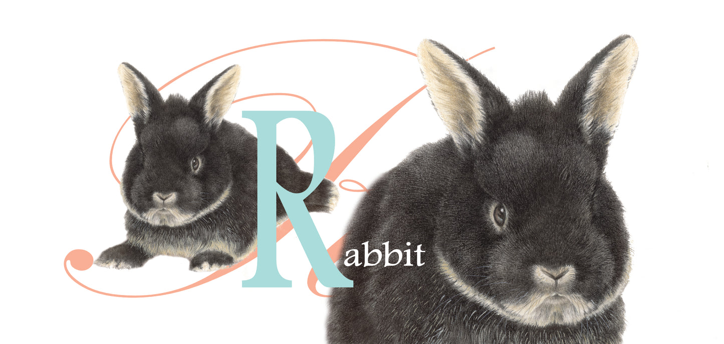 Mok Konijn - Rabbit - New collection