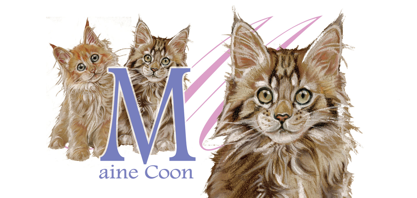 Mok Maine Coone - New collection