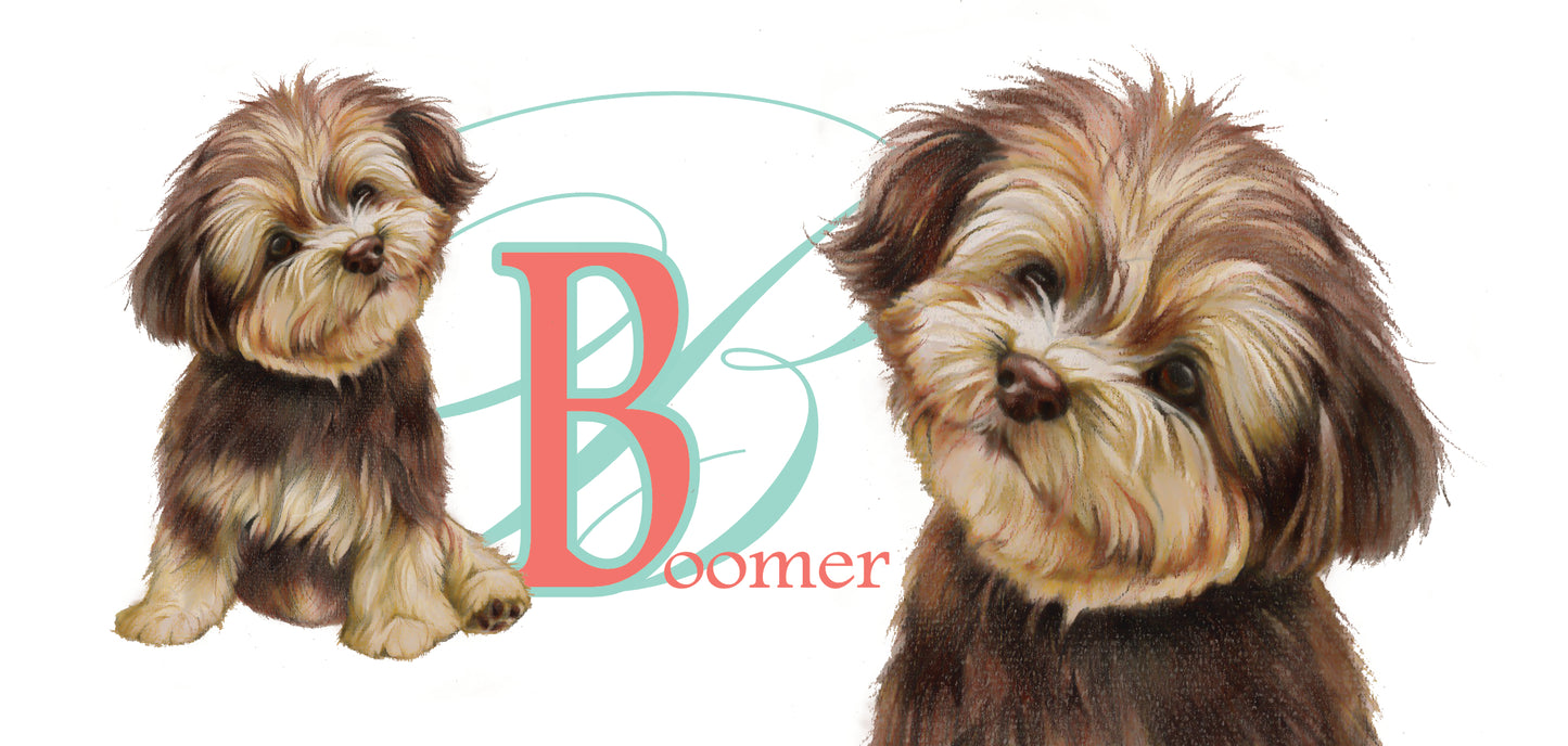 Mok Boomer - New collection