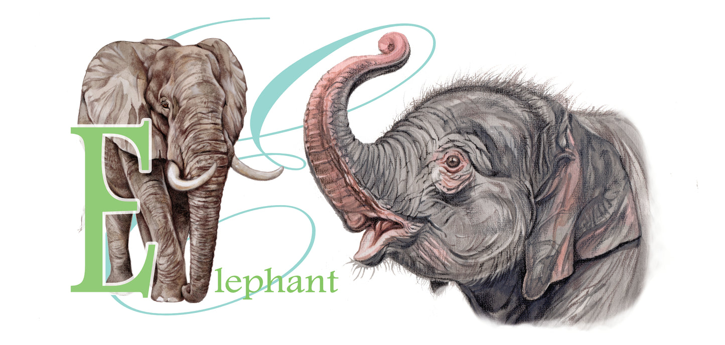 Mok Olifant - Elephant - New collection