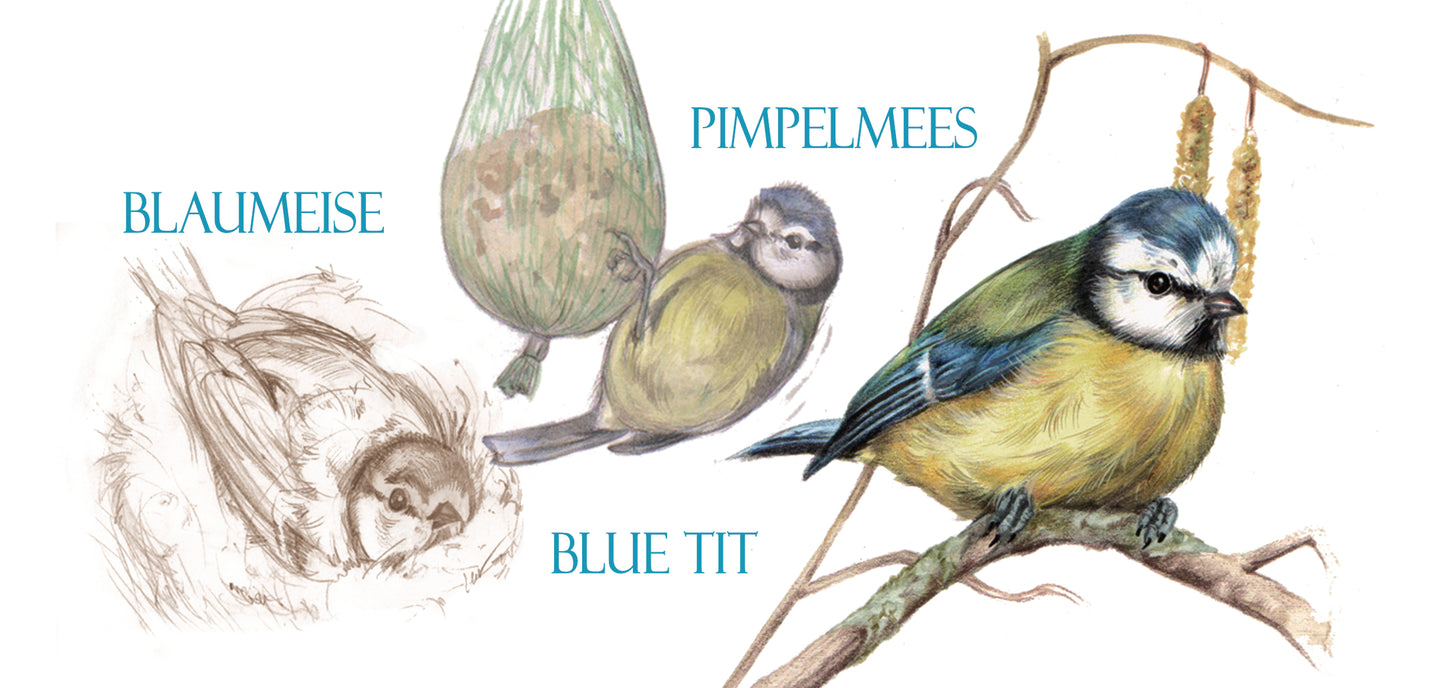 Mok Blue Tit - Blauwe Mees - New collection