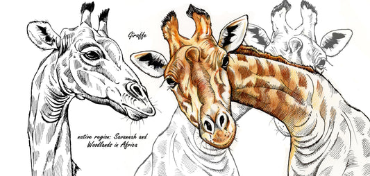 Mokkenserie Wildlife - Giraf