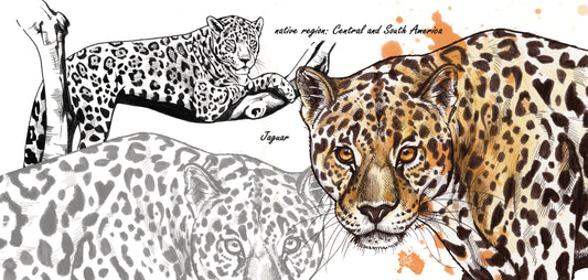 Mokkenserie Wildlife - Jaguar