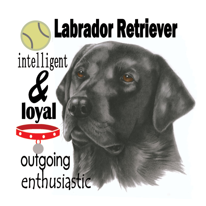 Koelkastmagneet - Zwarte Labrador Retriever