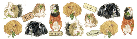 Tassen mit Collage – Meerschweinchen – Design 2