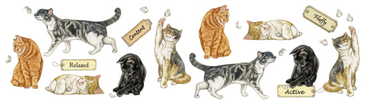 Tassen mit Collage – Katzen – Design 2